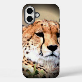 Cheetah Portrait by Full Moon: Nature's Grace iPhone 16 Plus Case