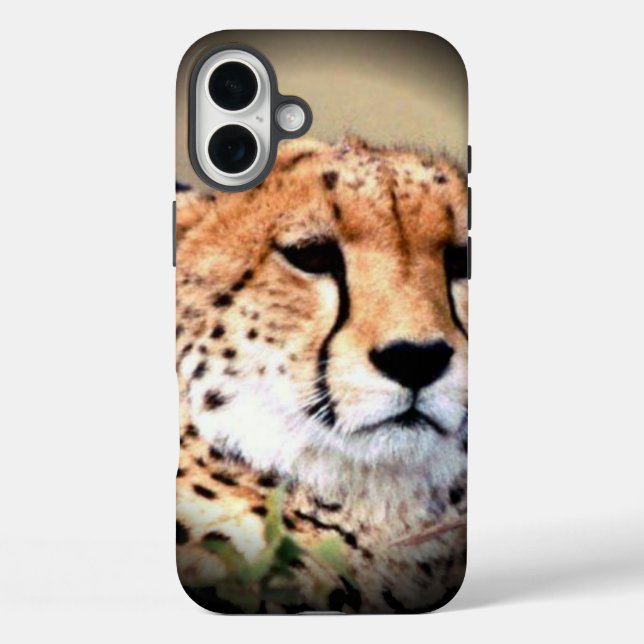 Cheetah Portrait by Full Moon: Nature's Grace Case-Mate iPhone Case (Back)