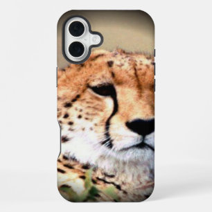 Cheetah Portrait by Full Moon: Nature's Grace iPhone 16 Plus Case