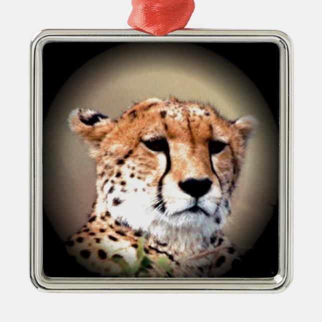 Cheetah Portrait by Full Moon: Nature's Grace Metal Tree Decoration (Front)