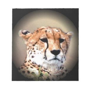 Cheetah Portrait by Full Moon: Nature's Grace Notepad