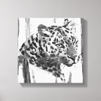 Cheetah Portrait