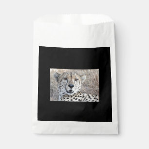 Cheetah Portrait Favour Bags