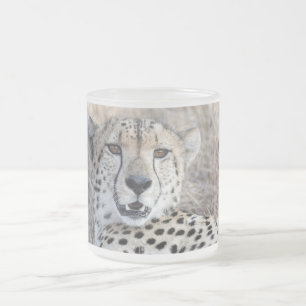 Cheetah Portrait Frosted Glass Coffee Mug