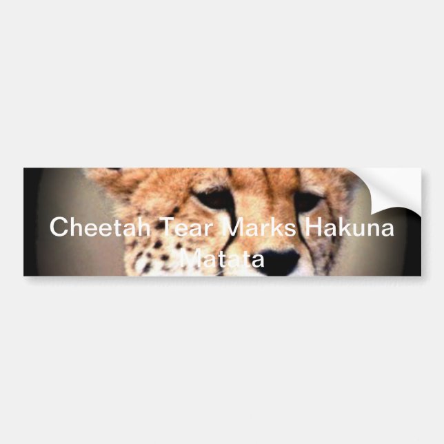 Cheetah Portrait, Full Moon: Nature's Grace Bumper Sticker (Front)