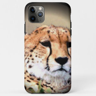 Cheetah Portrait, Full Moon: Nature's Grace iPhone 11 Pro Max Case