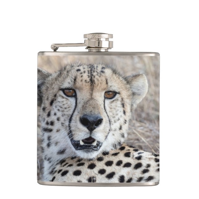 Cheetah Portrait Hip Flask (Front)