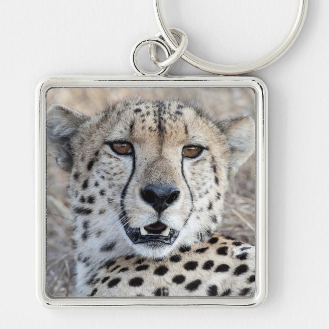 Cheetah Portrait Key Ring (Front)