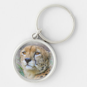 Cheetah portrait key ring