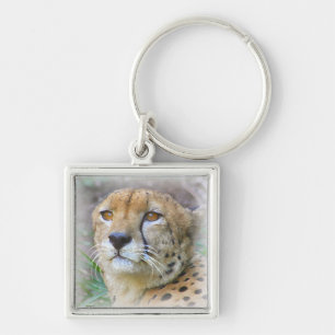 Cheetah portrait key ring