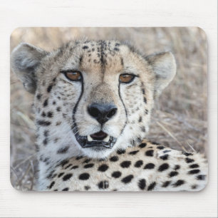 Cheetah Portrait Mouse Mat