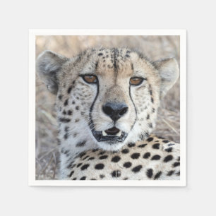 Cheetah Portrait Napkin
