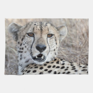 Cheetah Portrait Tea Towel