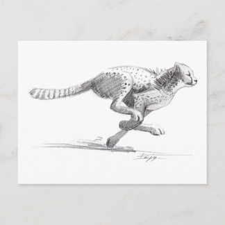 Cheetah Postcard