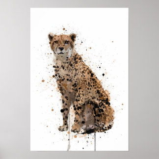 Cheetah Poster
