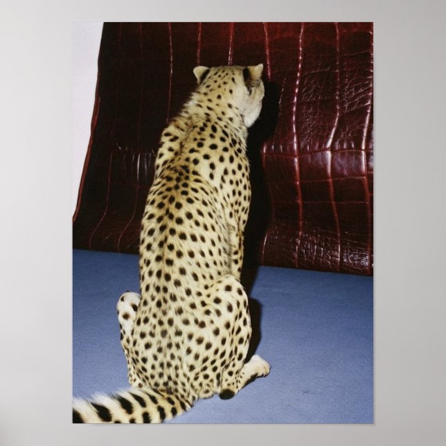 Cheetah Print (Front)