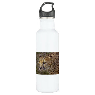 Cheetah Profile 710 Ml Water Bottle