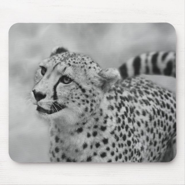 Cheetah profile mouse mat (Front)