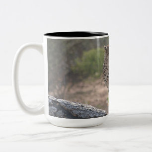 Cheetah sitting on a fallen tree in the wild  Two-Tone coffee mug
