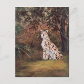 Cheetah Sitting Proud Postcard