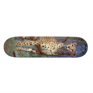 Cheetah Skateboard