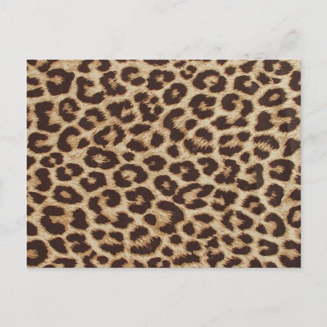Cheetah Skin Print Postcard (Front)