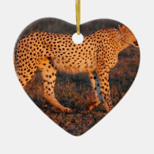 Cheetah South Africa at Sunset Ceramic Tree Decoration
