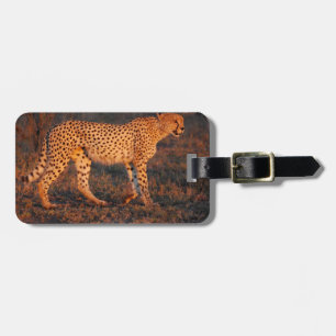 Cheetah South Africa at Sunset Luggage Tag