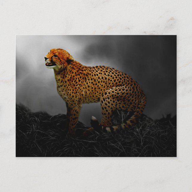 Cheetah spirit guard postcard (Front)