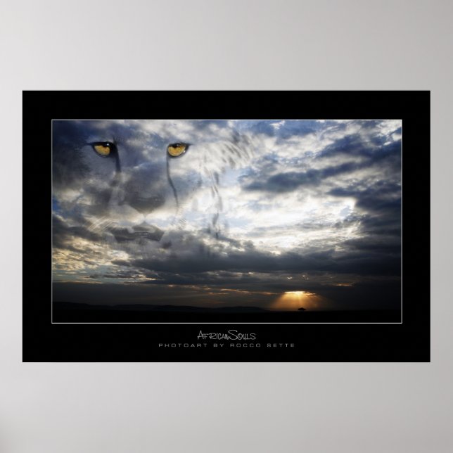 Cheetah Spirit Poster (Front)