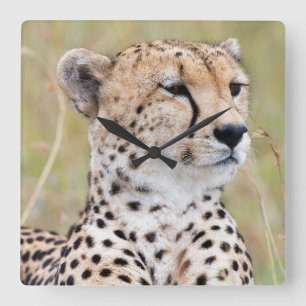 Cheetah Square Wall Clock