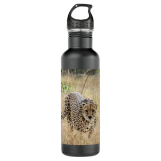 Cheetah stainless steel water bottle