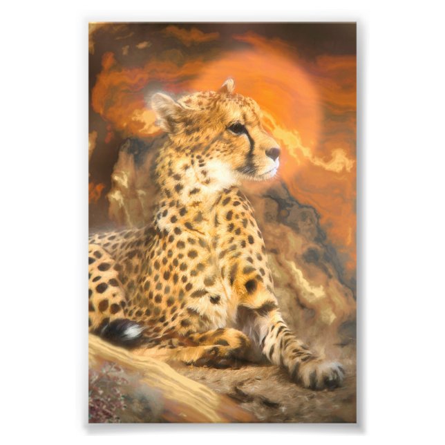 CHEETAH STANDING DOWN PHOTO PRINT (Front)