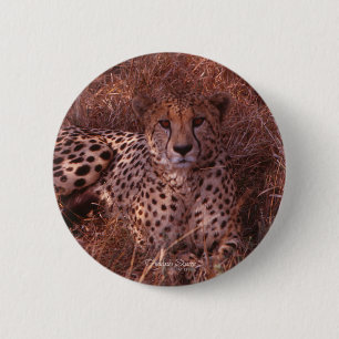 Cheetah Stare 6 Cm Round Badge