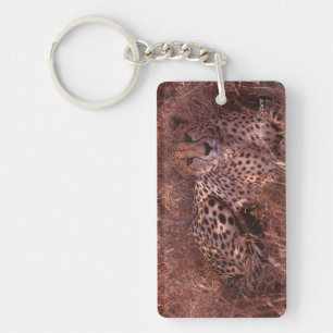 Cheetah Stare Key Ring