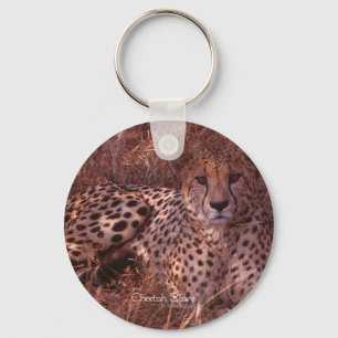 Cheetah Stare Key Ring