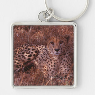 Cheetah Stare Key Ring