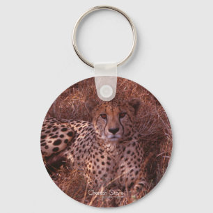 Cheetah Stare Key Ring