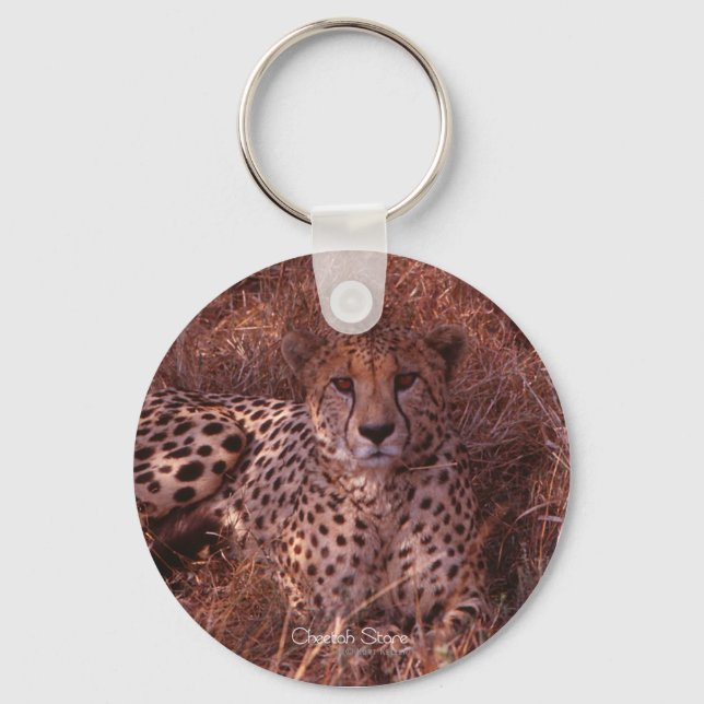 Cheetah Stare Key Ring (Front)