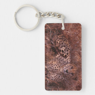 Cheetah Stare Key Ring