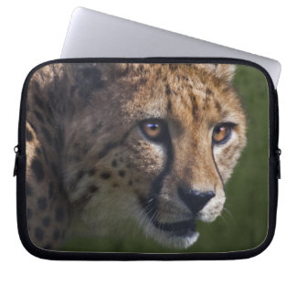 Cheetah Stare Laptop Sleeve