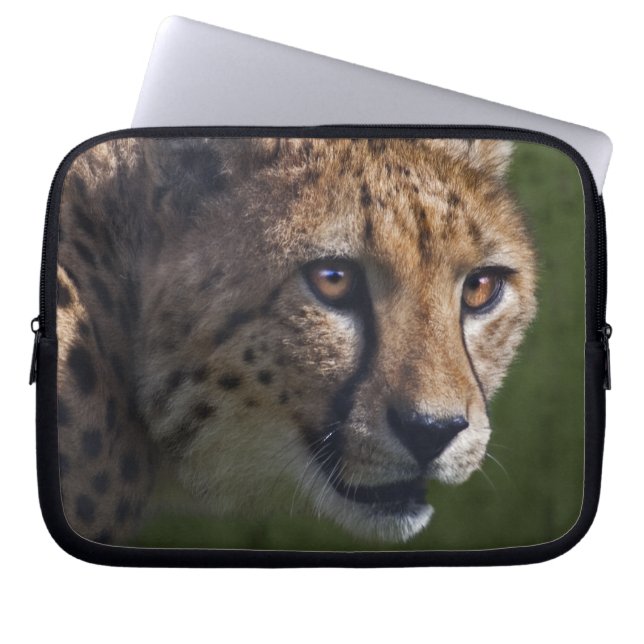 Cheetah Stare Laptop Sleeve (Front)