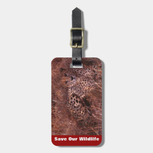 Cheetah Stare Luggage Tag