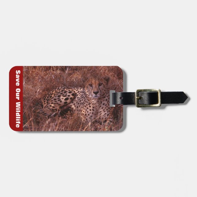 Cheetah Stare Luggage Tag (Front Horizontal)