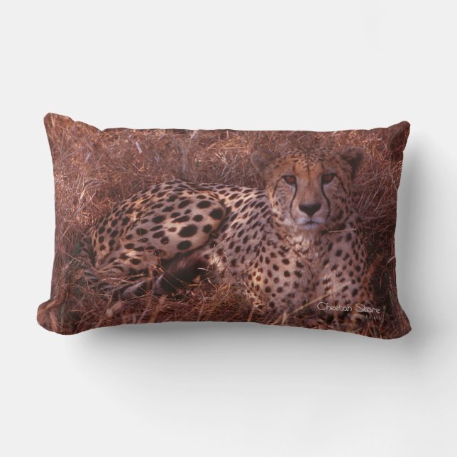 Cheetah Stare Lumbar Cushion (Front)