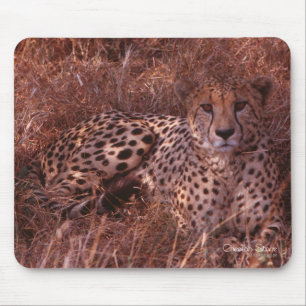 Cheetah Stare Mouse Mat