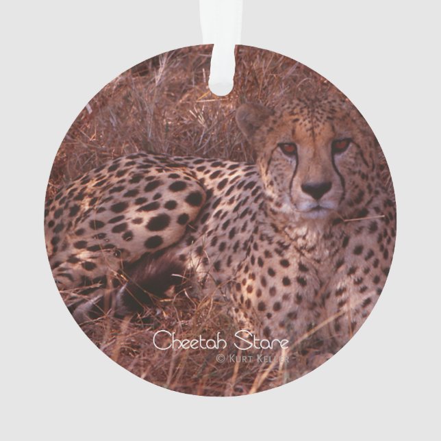 Cheetah Stare Ornament (Back)