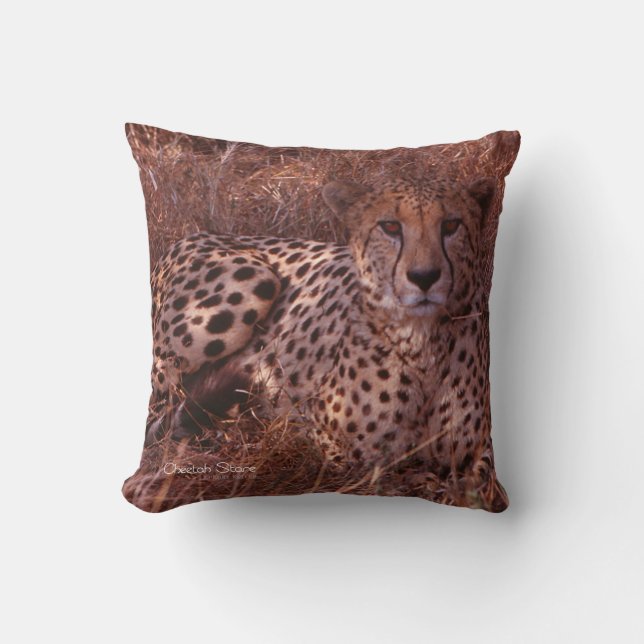 Cheetah Stare Pillow (Front)