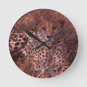 Cheetah Stare Round Clock