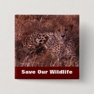 Cheetah Stare Save Our Wildlife 15 Cm Square Badge